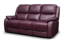 Load image into Gallery viewer, Parker leather range
