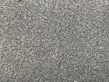Load image into Gallery viewer, Paramount carpet