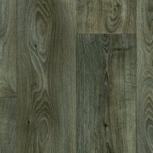 Load image into Gallery viewer, regency