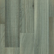 Load image into Gallery viewer, regency