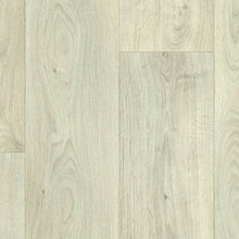 Load image into Gallery viewer, regency