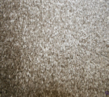 Load image into Gallery viewer, Dove carpet